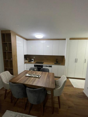 Luxury Apartment